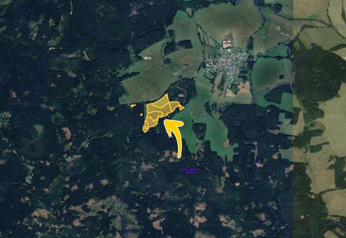 Prodej louky v k.ú. Lesná u Tachova, ev.č. 2025-10-07-081114 - 2