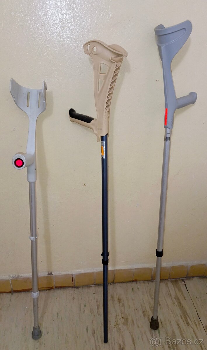 Berle zdravotní - 2