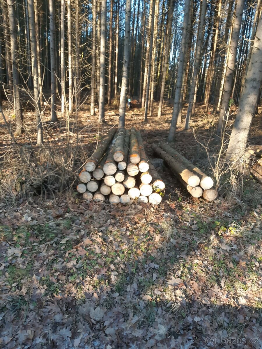 Prodám palivové dřevo - 2