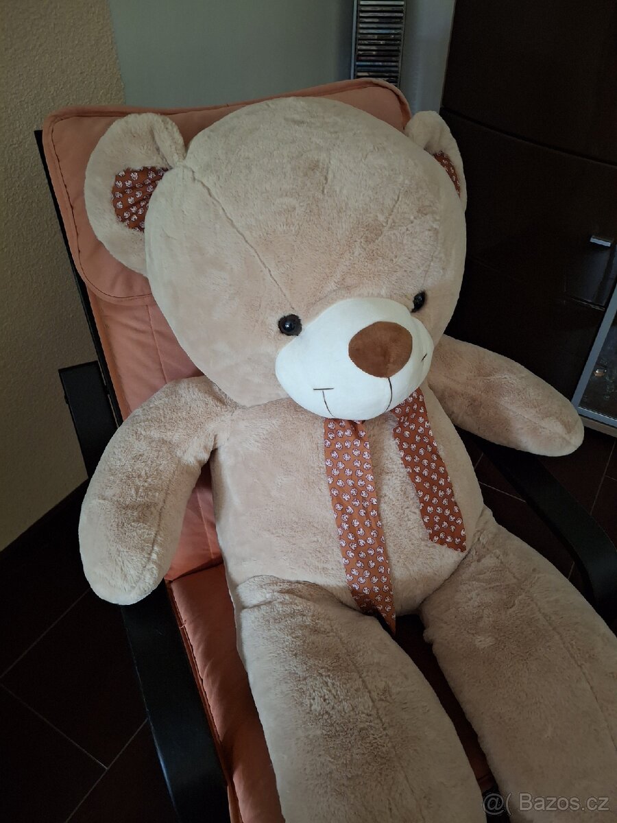 Krásný velký medvěd - 2