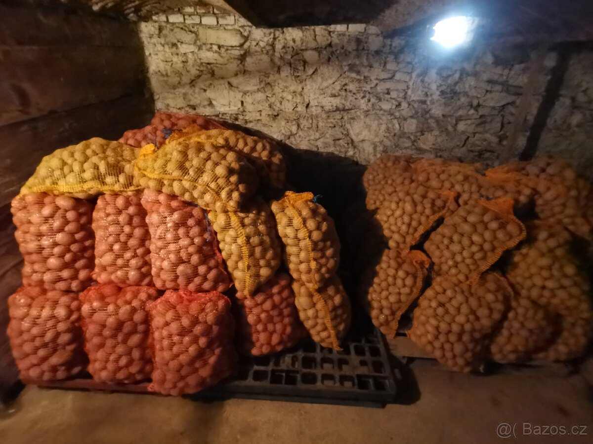 Prodám brambory - 2