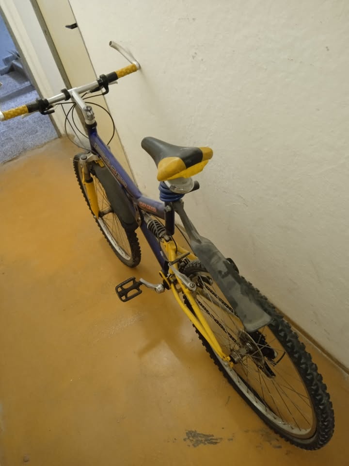 Prodám pánské kolo. - 2