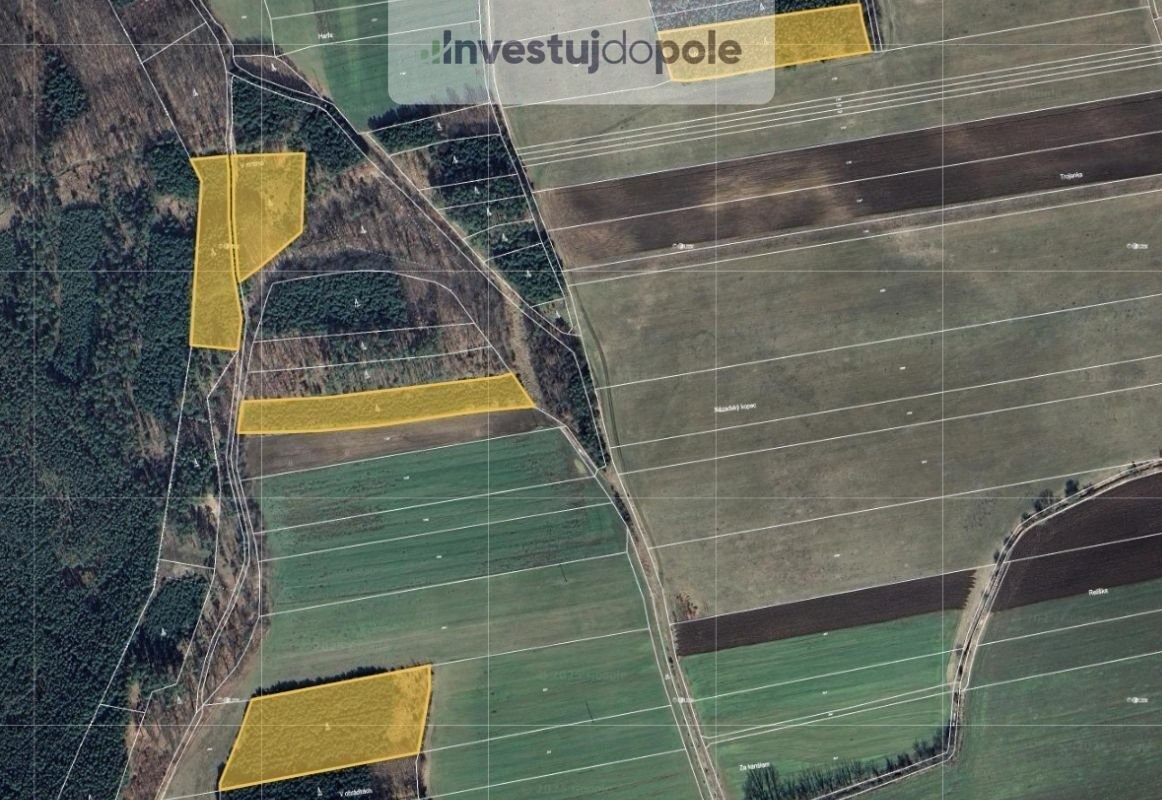 Prodej lesa v k.ú. Oseček, ev.č. 2025-08-07-1 - 2