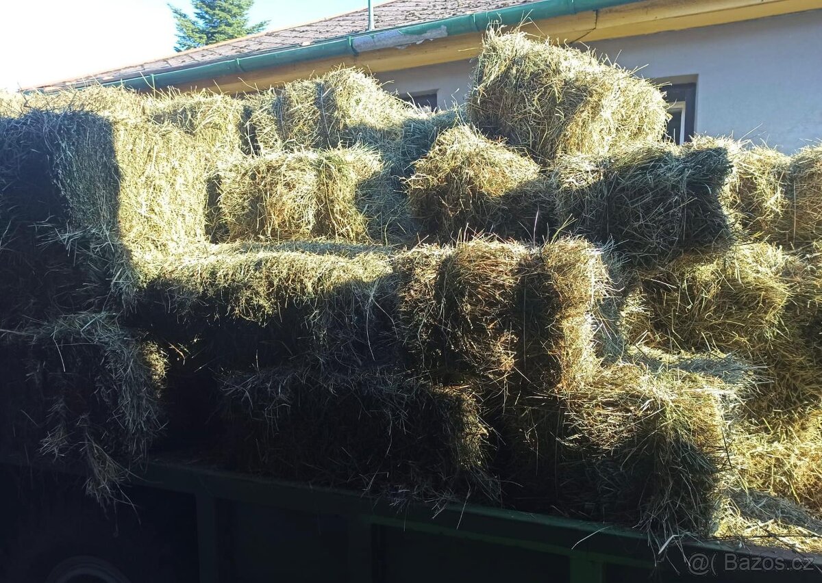 Seno malé balíky - 2