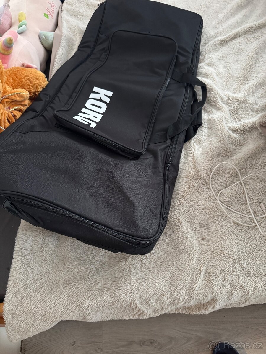 vymenim korg pa1000 - 2