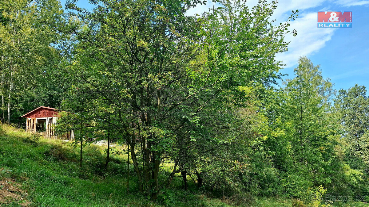 Prodej pozemku k rekreaci, 10875 m², Úštěk - 2
