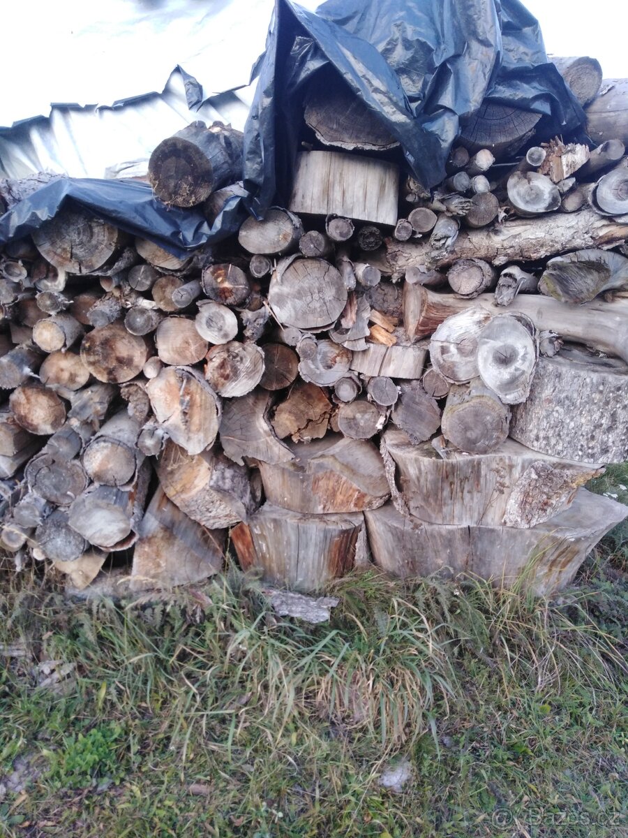 Dřevo na palivo - 2