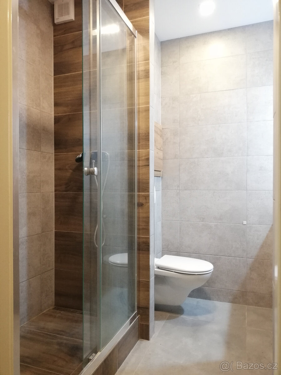 KAUCE JEN 10.000 KČ, 1+kk J.Brabce 21, Ostrava - 2