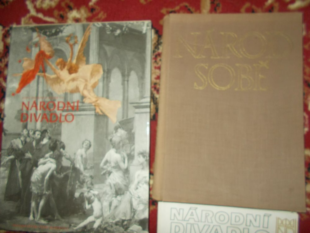 Národní divadlo knihy - 2