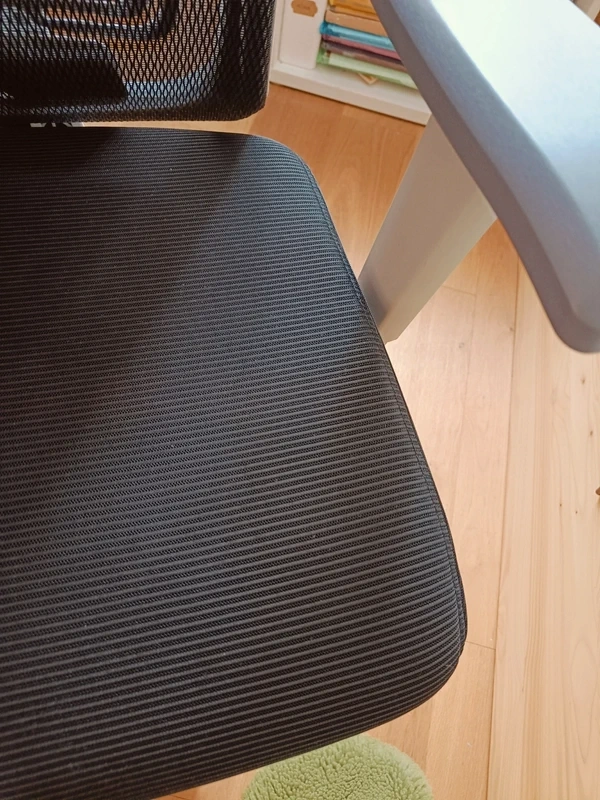 Ergonomická židle GAM, osobní odběr - 2