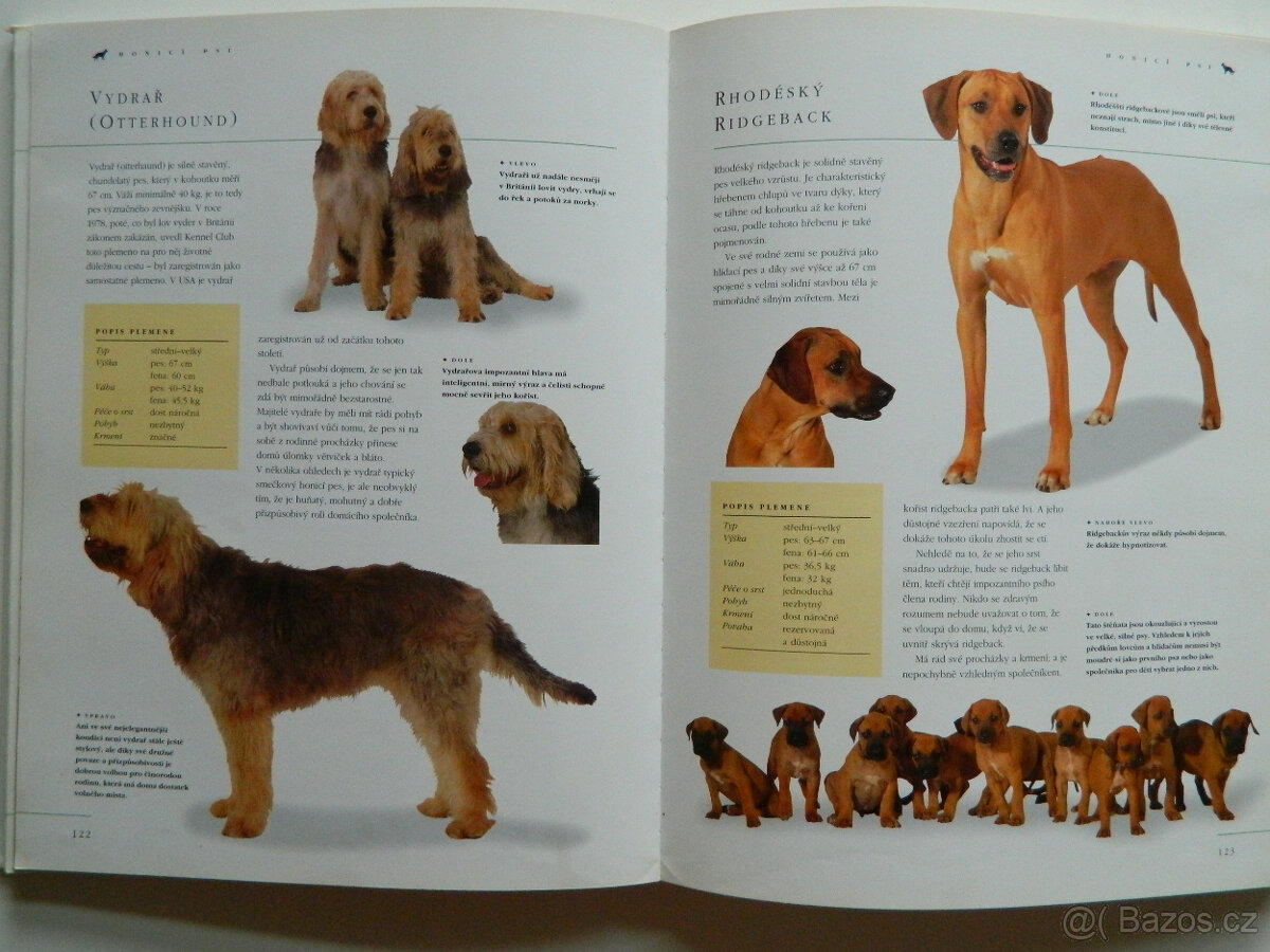 Pes a péče o něj - 2