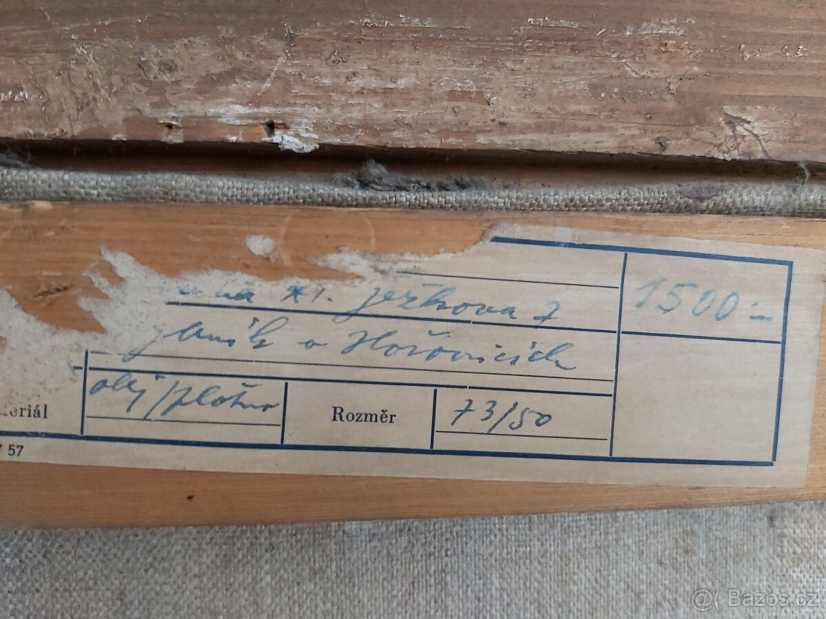 Obraz Sylva Študentová roz.Ježková - 2