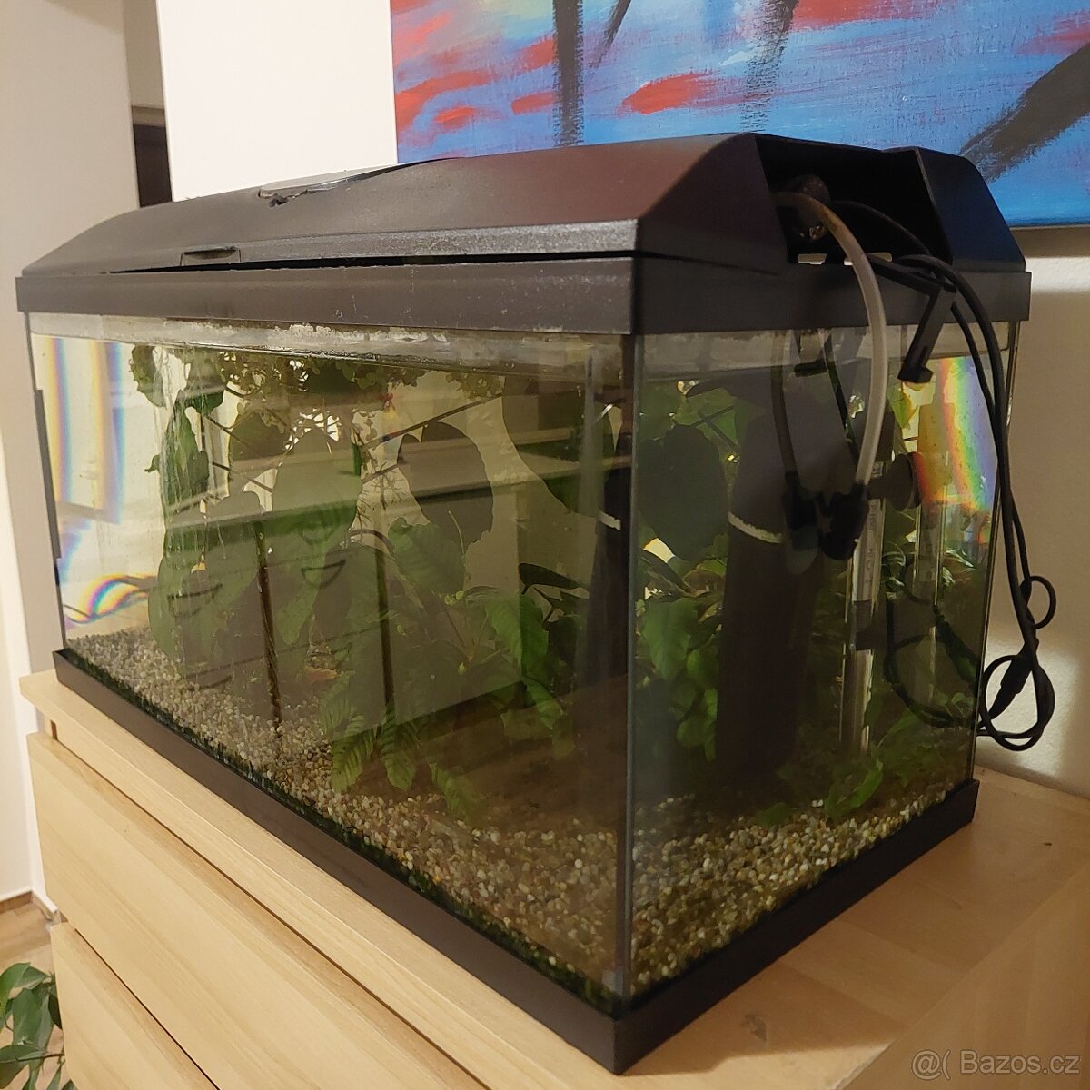 Akvárium, kompletní krásné - 2