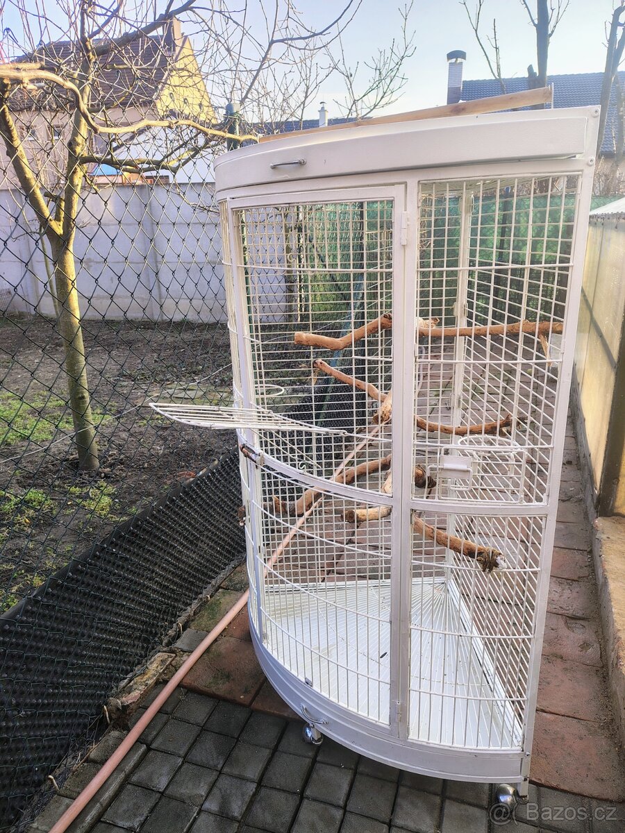 Velká klec pro papoušky - 2