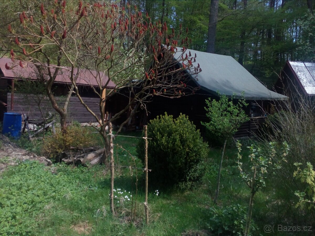 Výměna - srub s pozemkem - 2