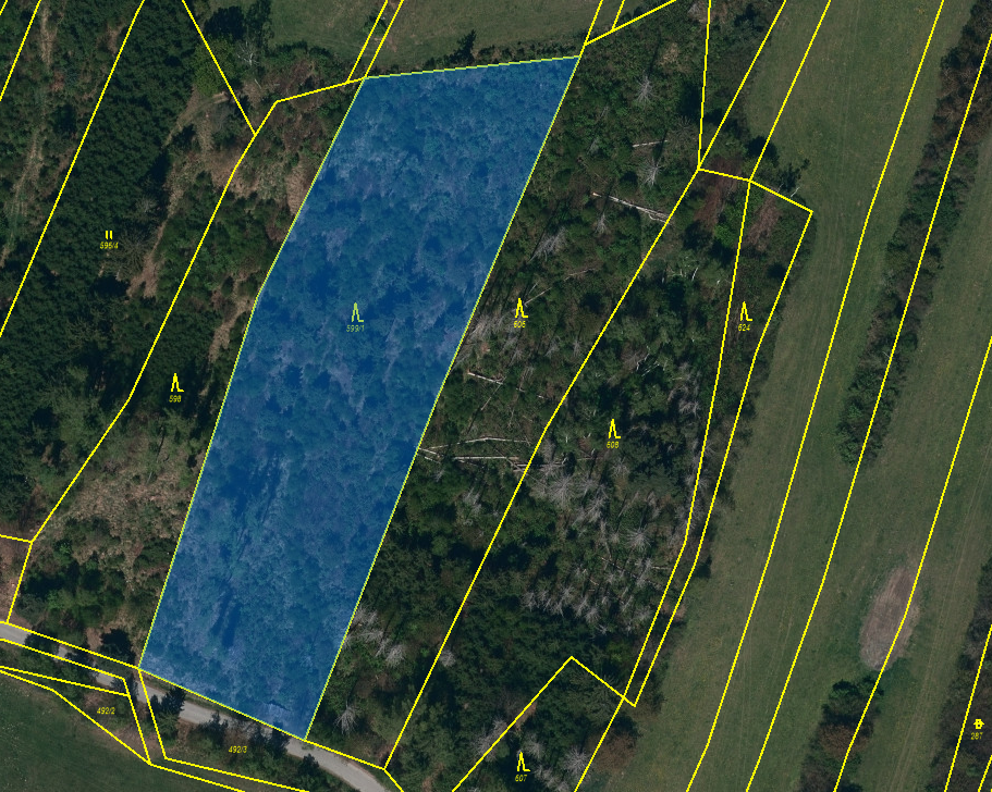 Prodej lesu 30 Kč/ m², Urbanov okr. Jihlava - 2