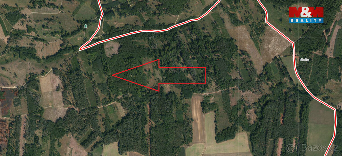 Prodej lesa, 7736 m², Jetětice - 2