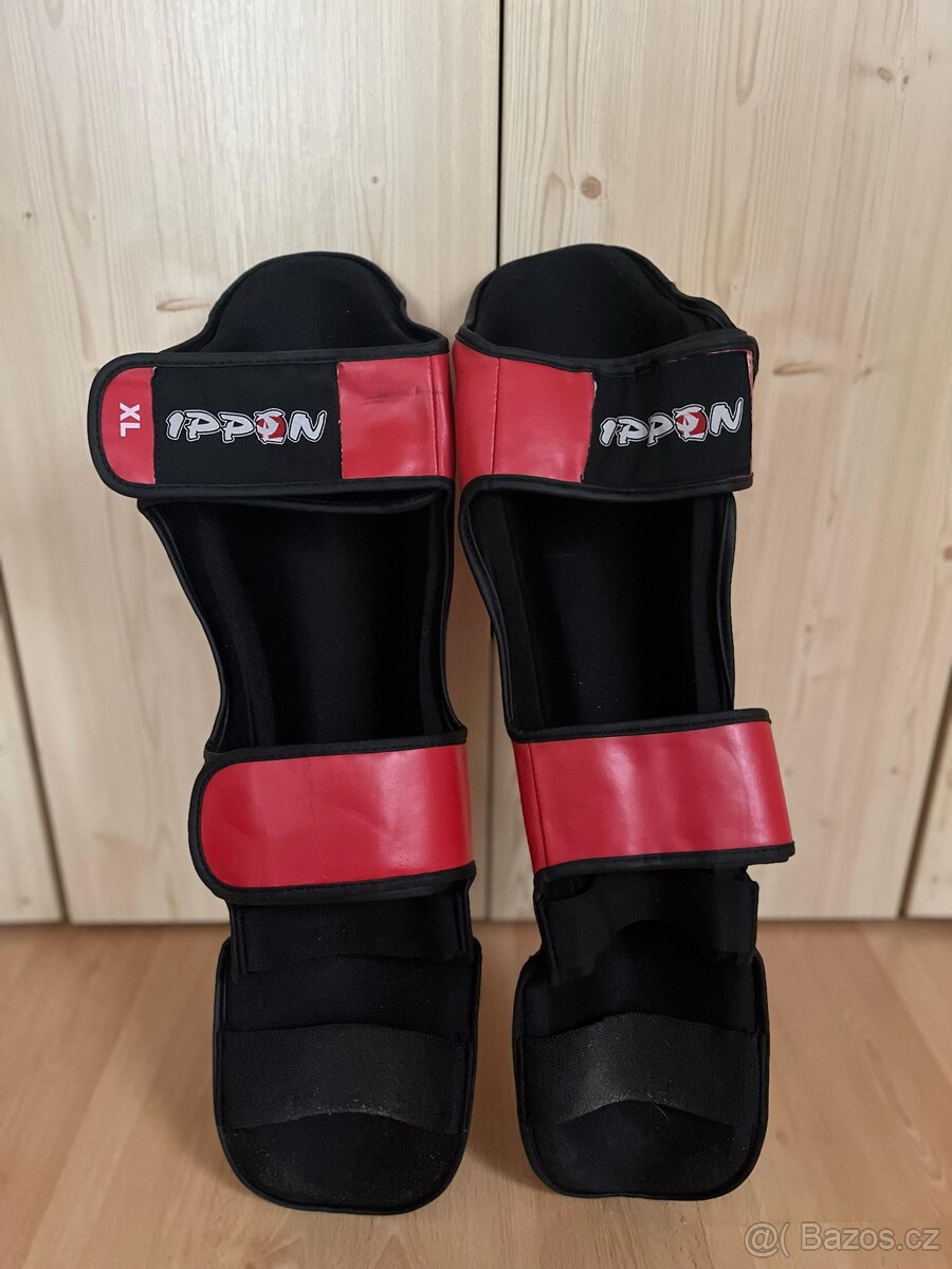 CHRÁNIČ HOLENÍ IPPON - MMA - 2