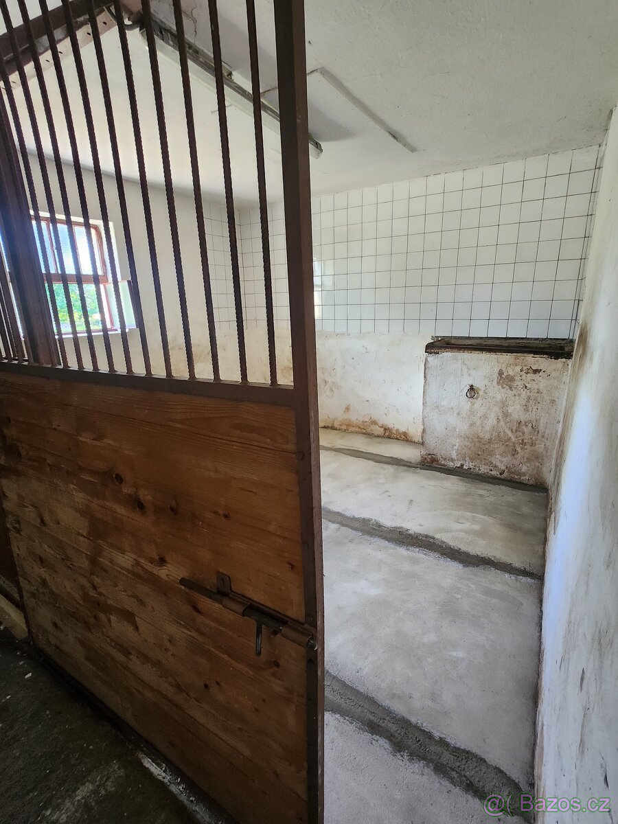 Nabídka ustájení - 2