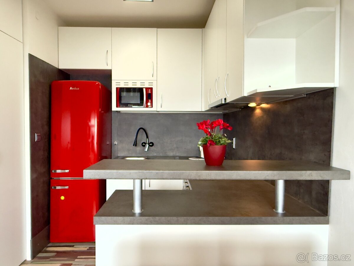 Prodej bytu o celkové ploše 30m2 v Hrušovanech u Brna - 2