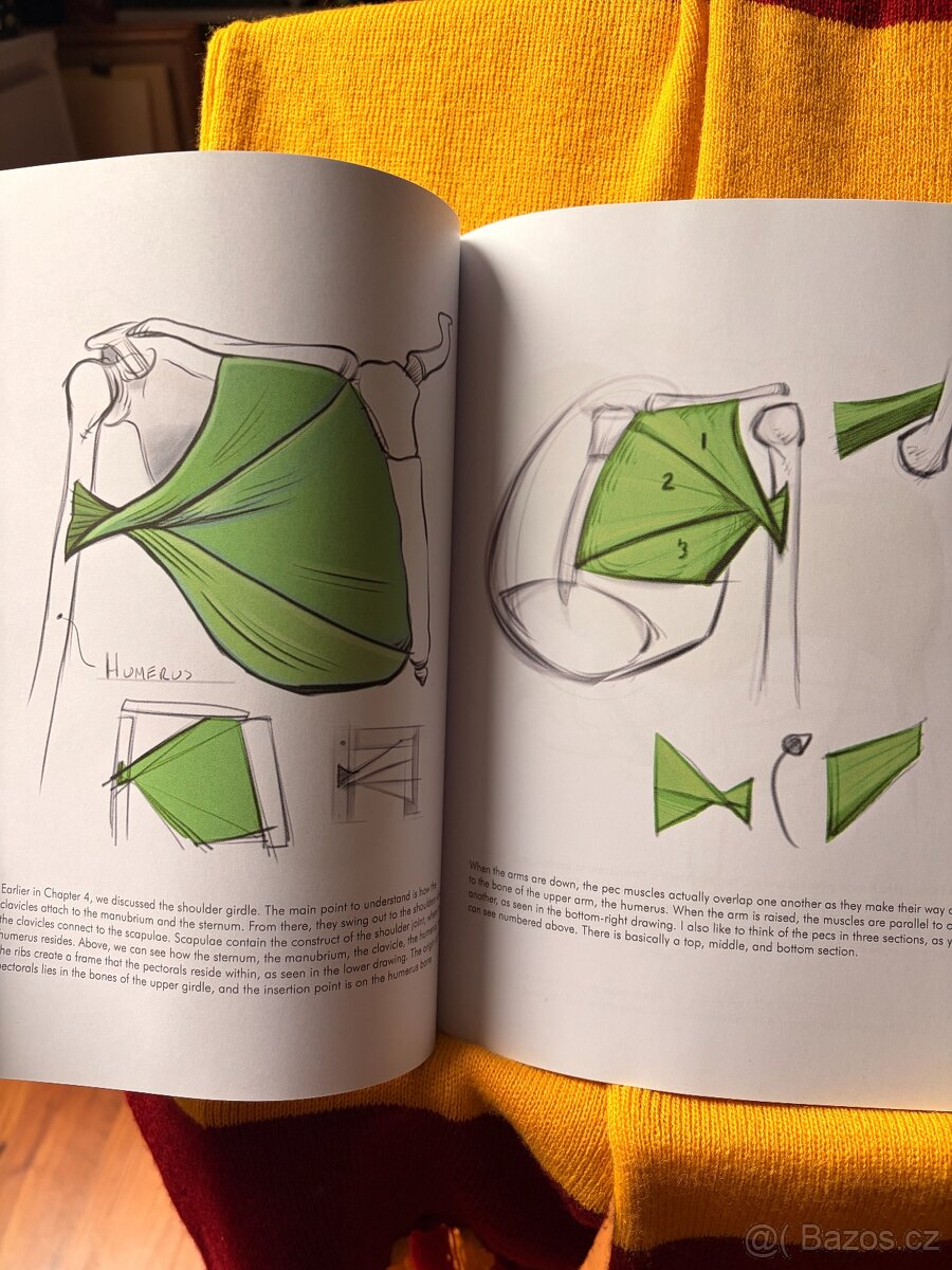 FORCE - Drawing Human Anatomy - Michael Mattesi - 2