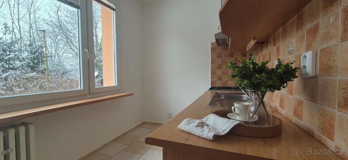 Prodej družstevního bytu 1+1 v Turnově - 2