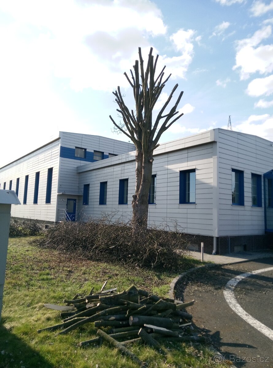 Rizikové kácení prořezávání stromů - 2