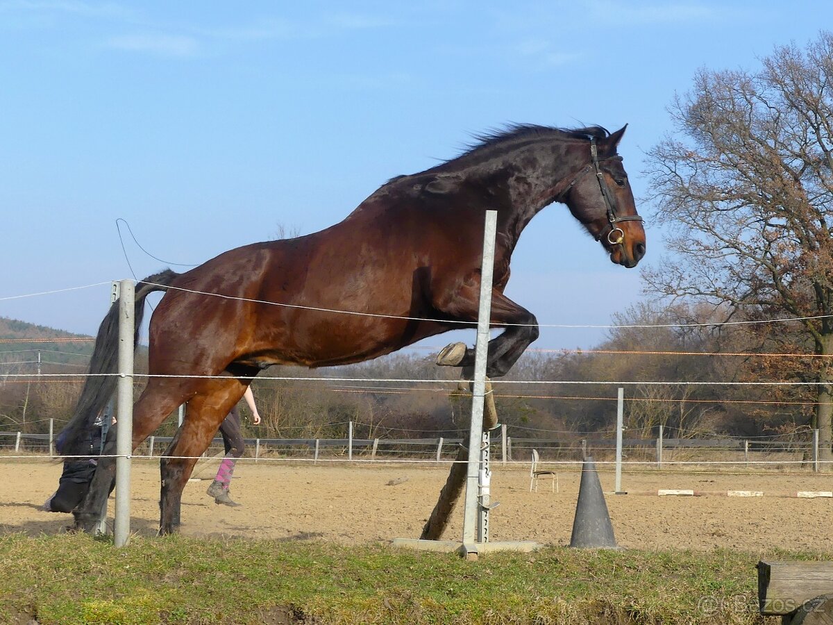 Parťák pro jednoho jezdce - 2