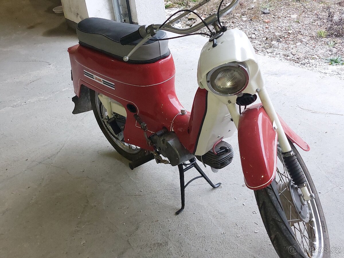 Jawa fichtl - 2