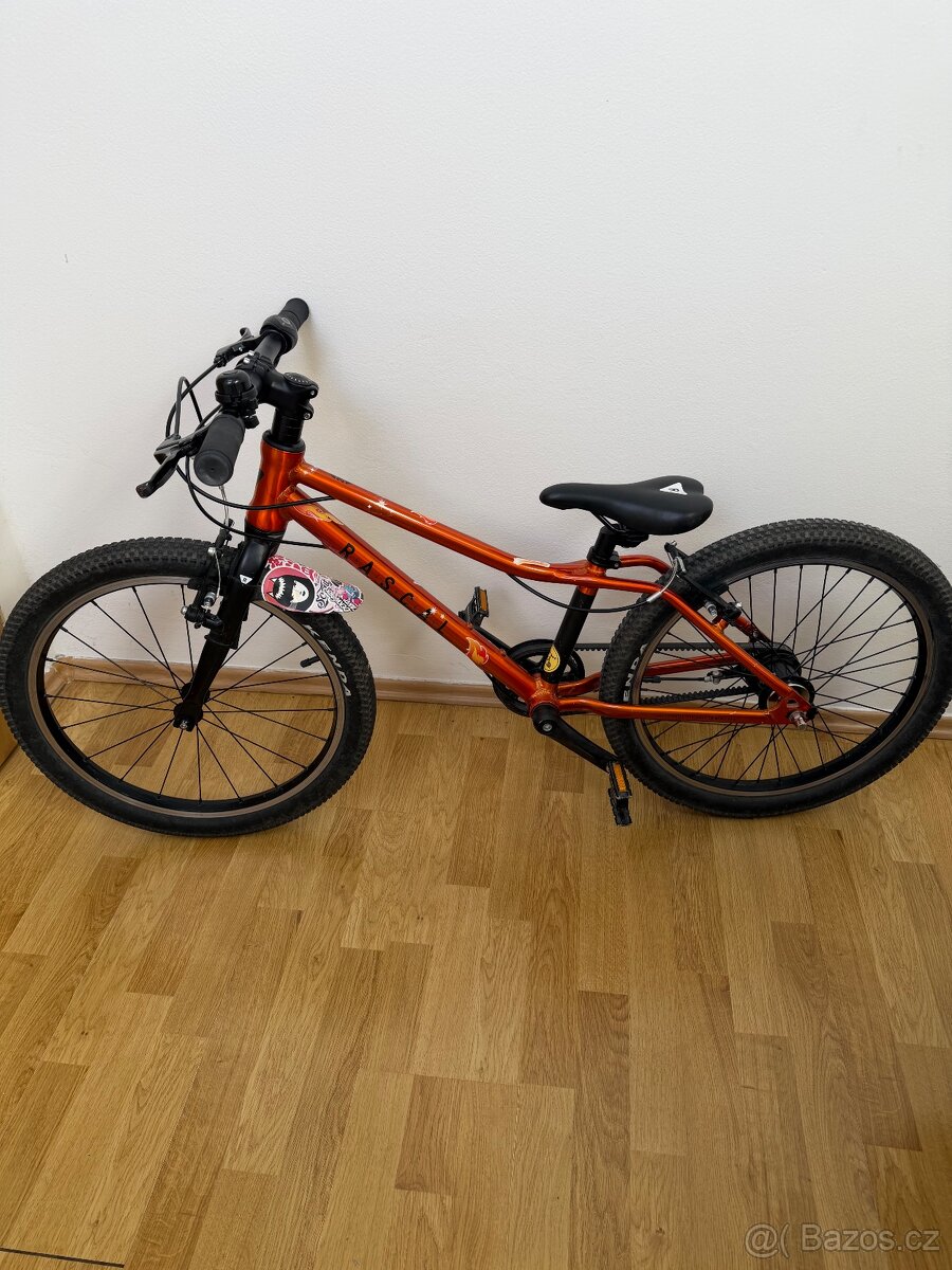 Dětské kolo Rascal 20 - 2