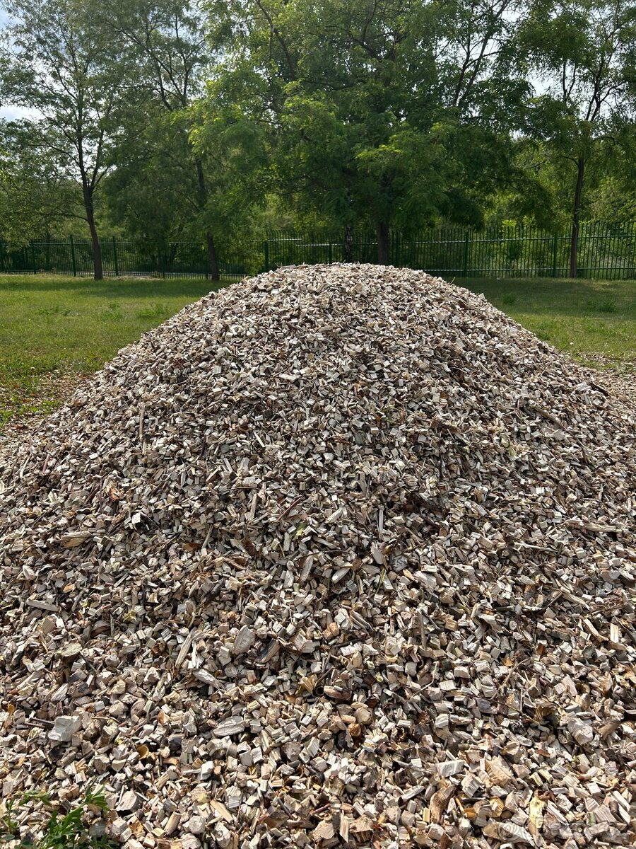 Drevni stepka - mulcovaci kura - 2