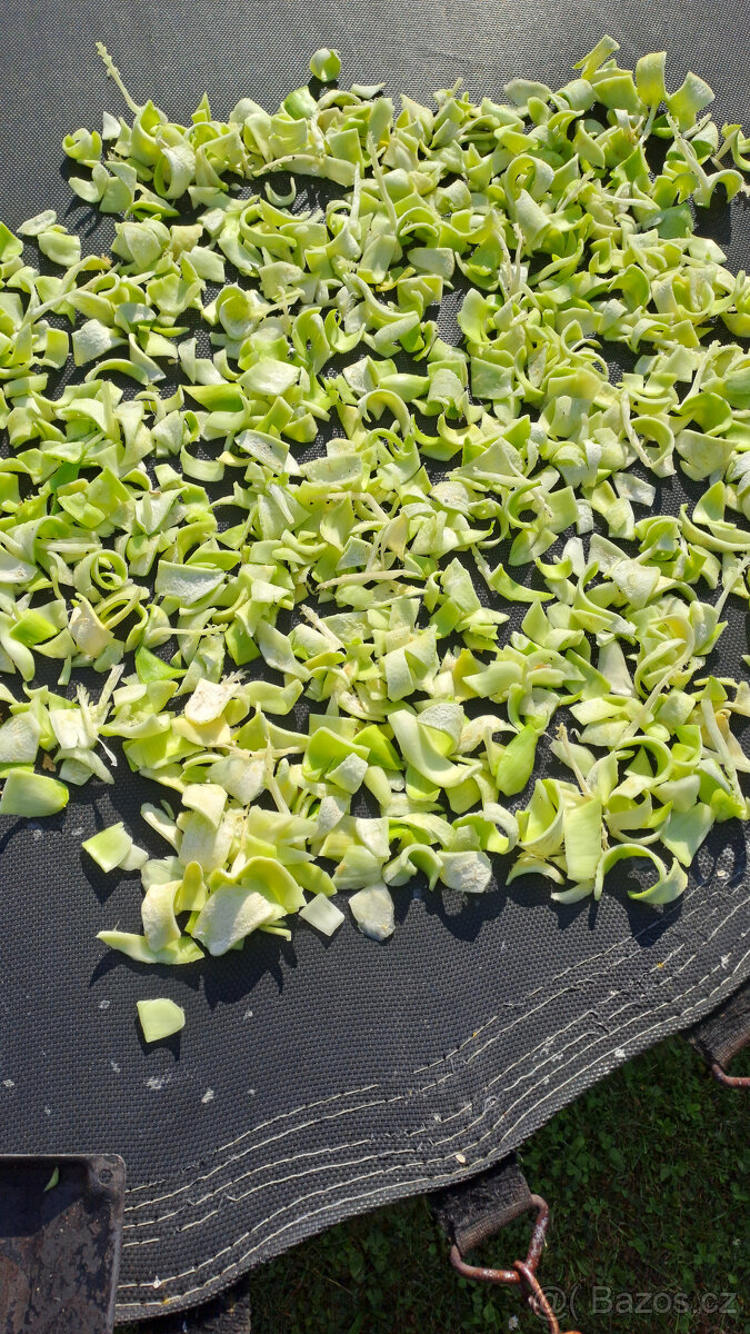 Ačokča (ind.okurka) tinktura silná 96% domácí - 2