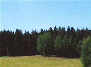 křenov u Žacléře (6 893 m2) - podíl 1/24 - 2