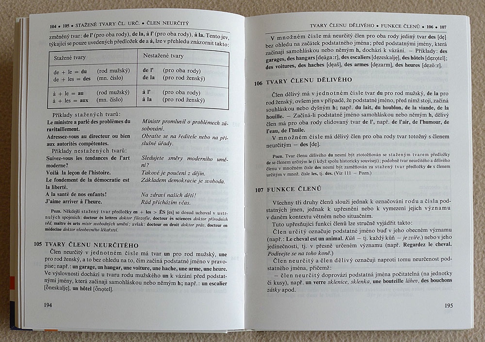Francouzska mluvnice - 2