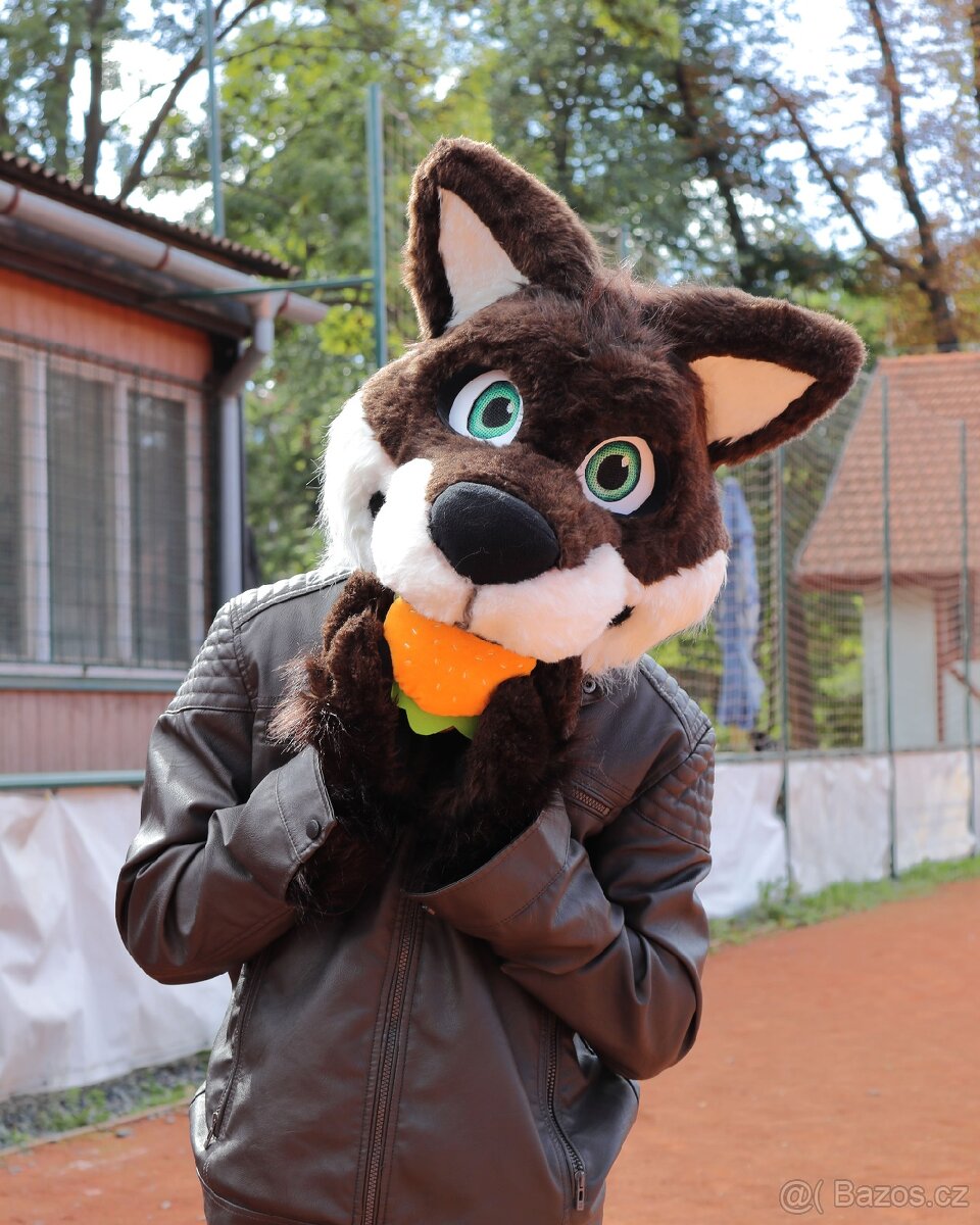 Fursuit - 2