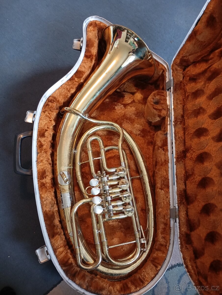 Tenor baskřídlovka - 2