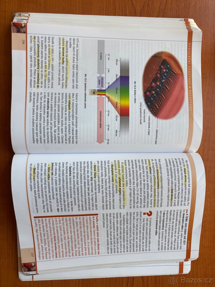 Biologie člověka - 2