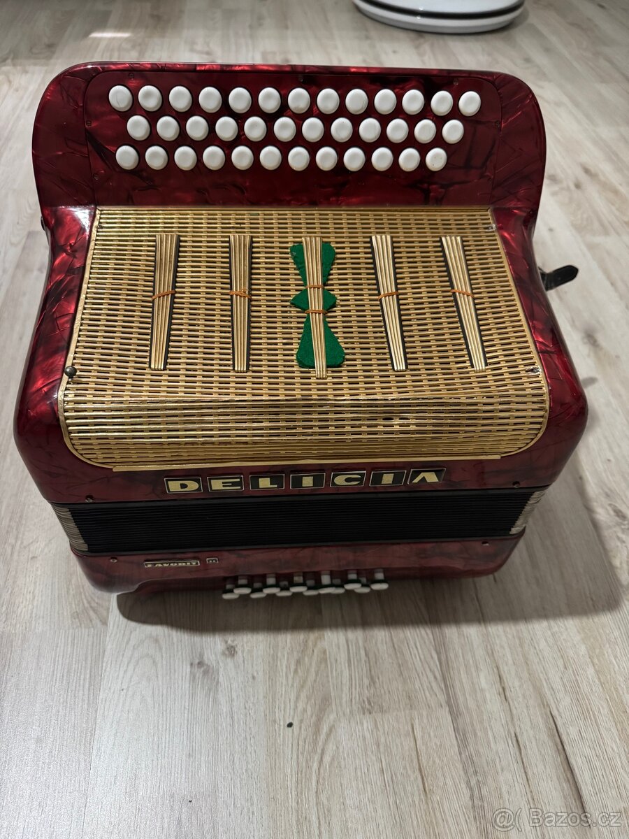 Harmonika DELICIA - 2