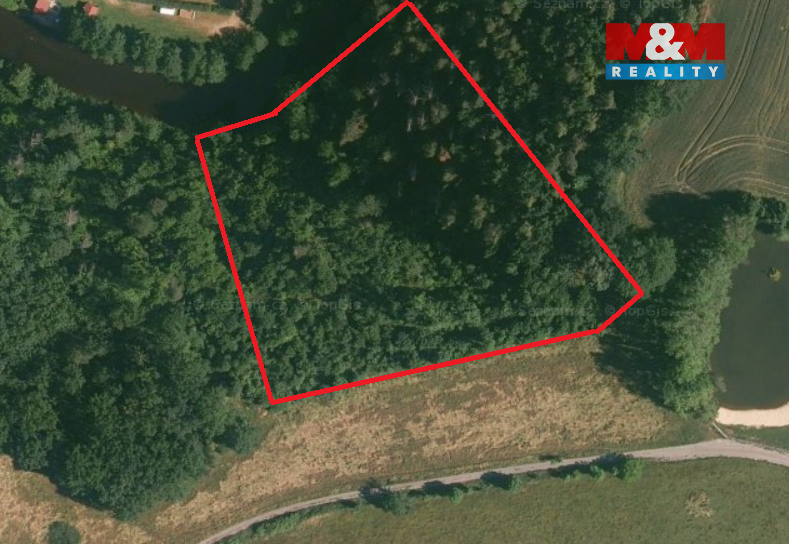 Prodej lesa, 9271 m², Římov - Branišovice - 2