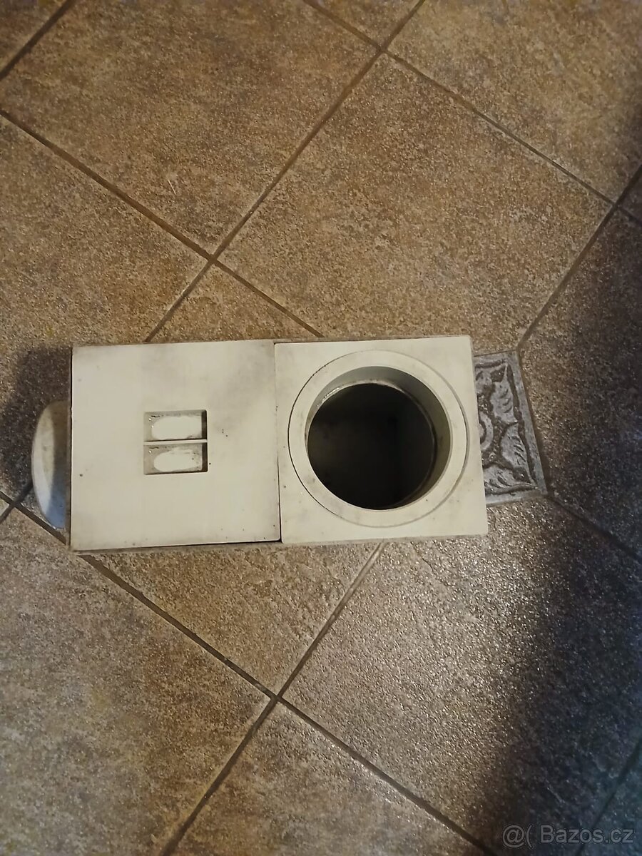 Gaigr šedý - 2