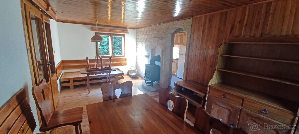 Růžová Nový svět - 2