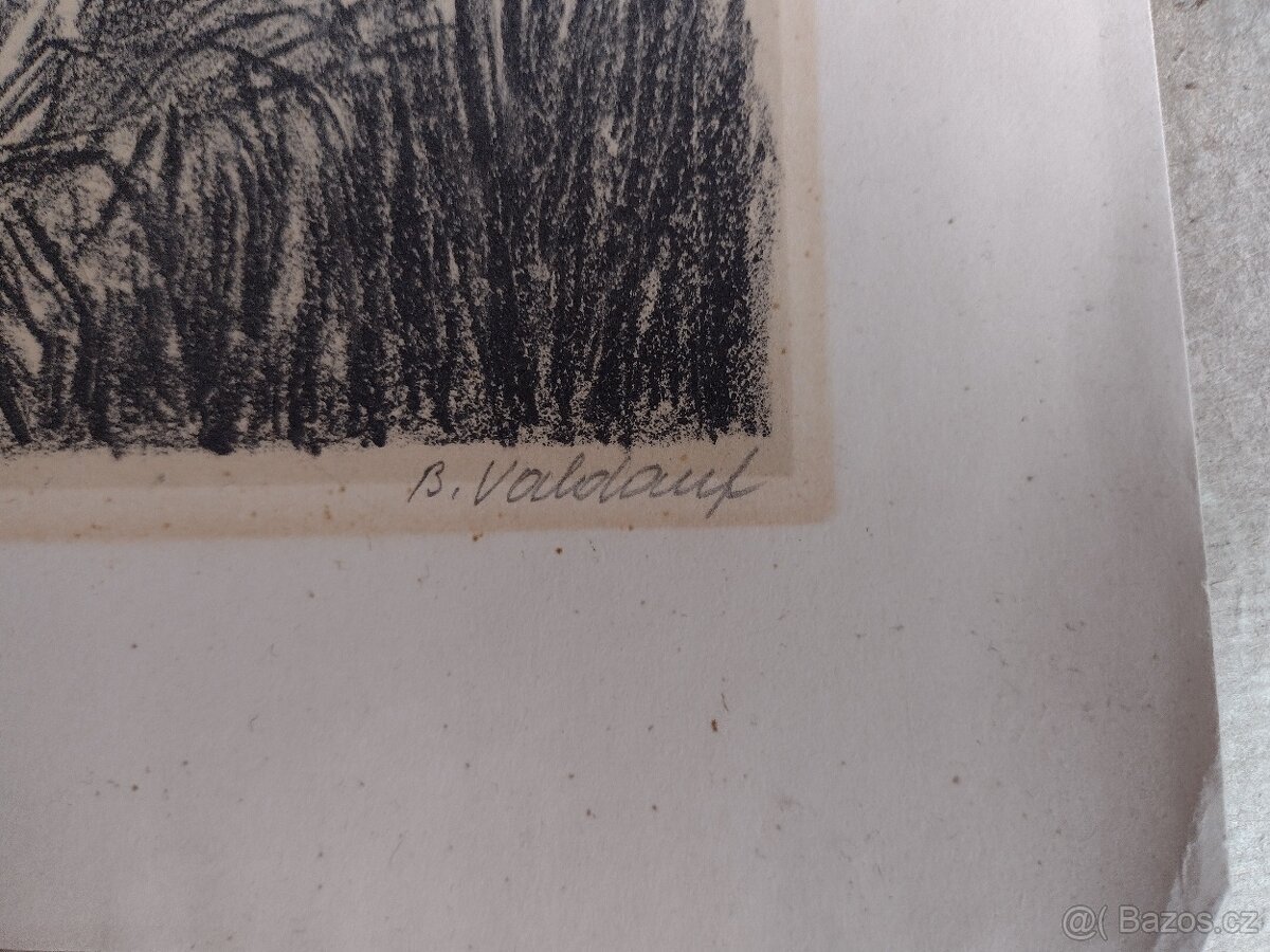 OBRAZ BEDŘICH VALDAUF - 2