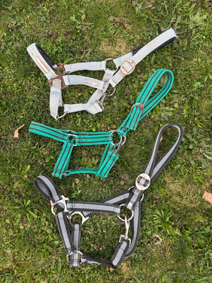 Pony a Full ohlávky - 2