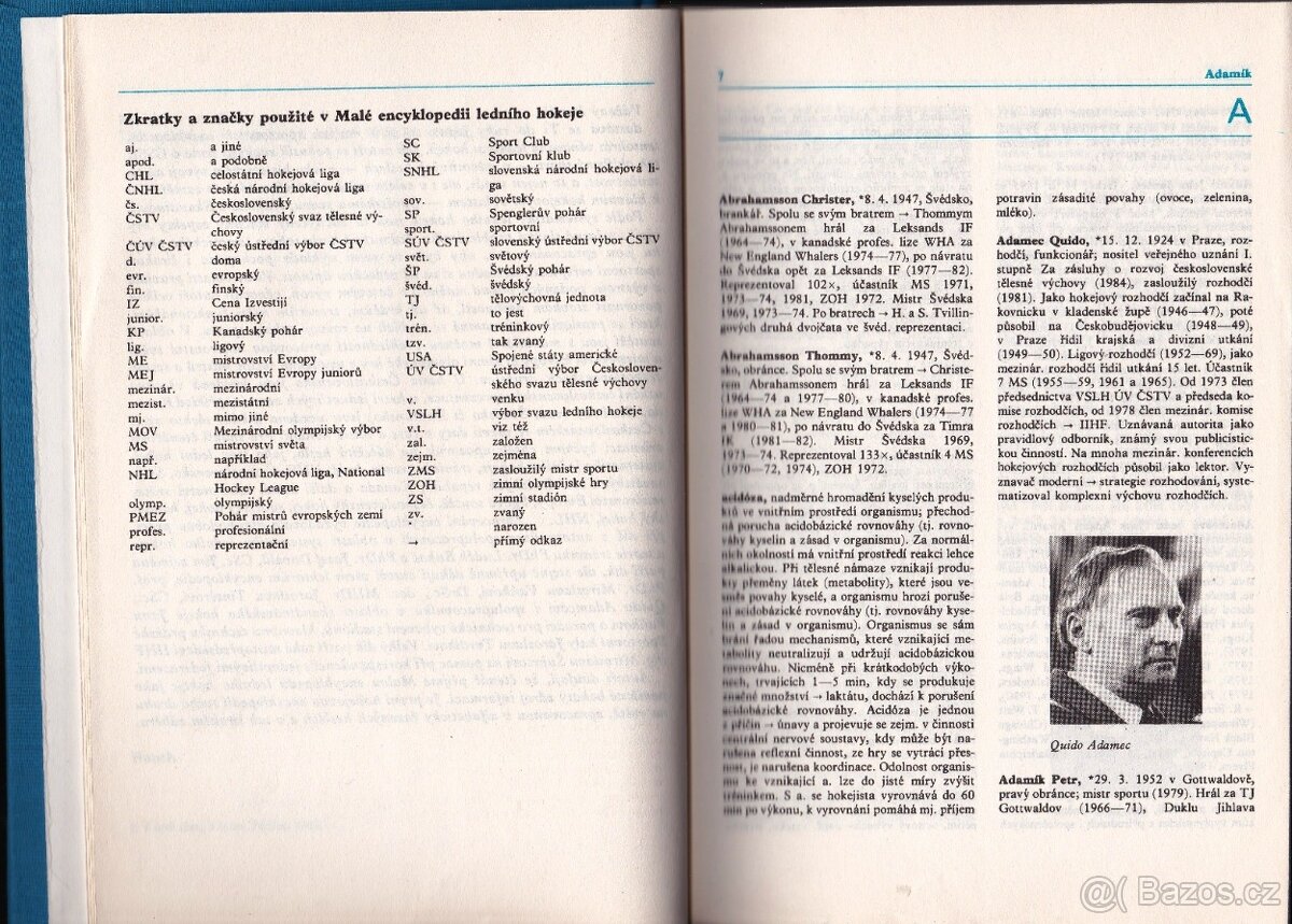 MALÁ ENCYKLOPEDIE LEDNÍHO HOKEJE - 2