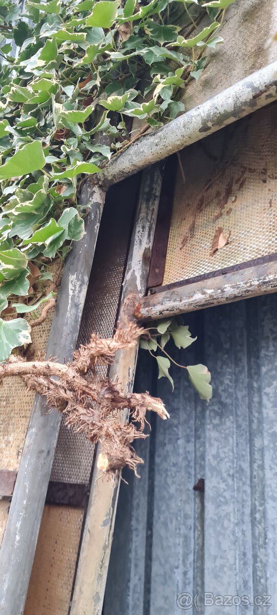 Vrata na foliák, foliovník - 2