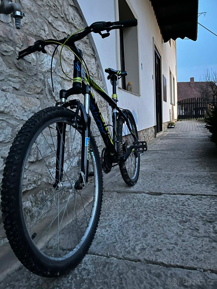 Horské kolo Alpina - 2