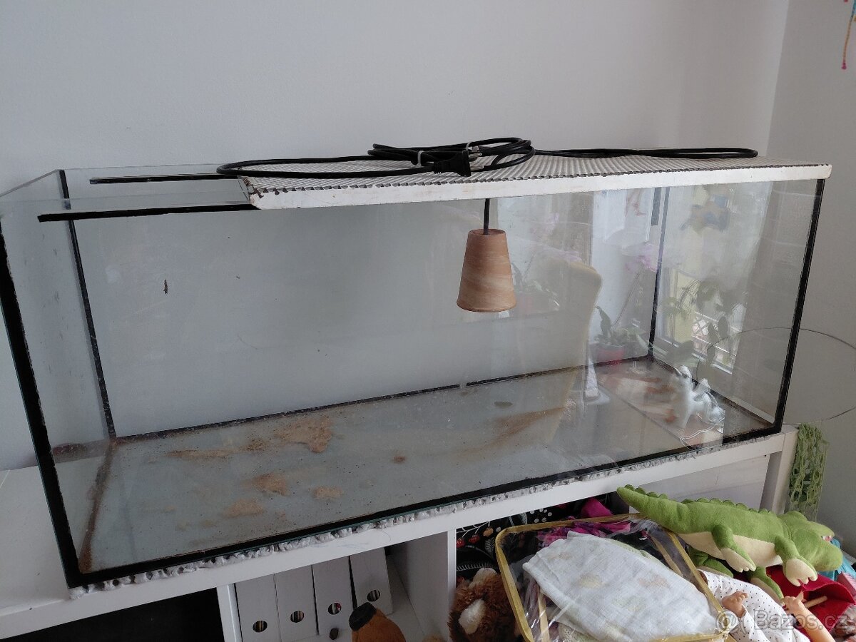 Terarium - 2