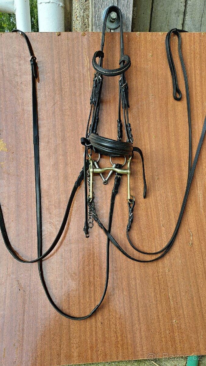 Drezurní uzda + páka a stihlo - 2