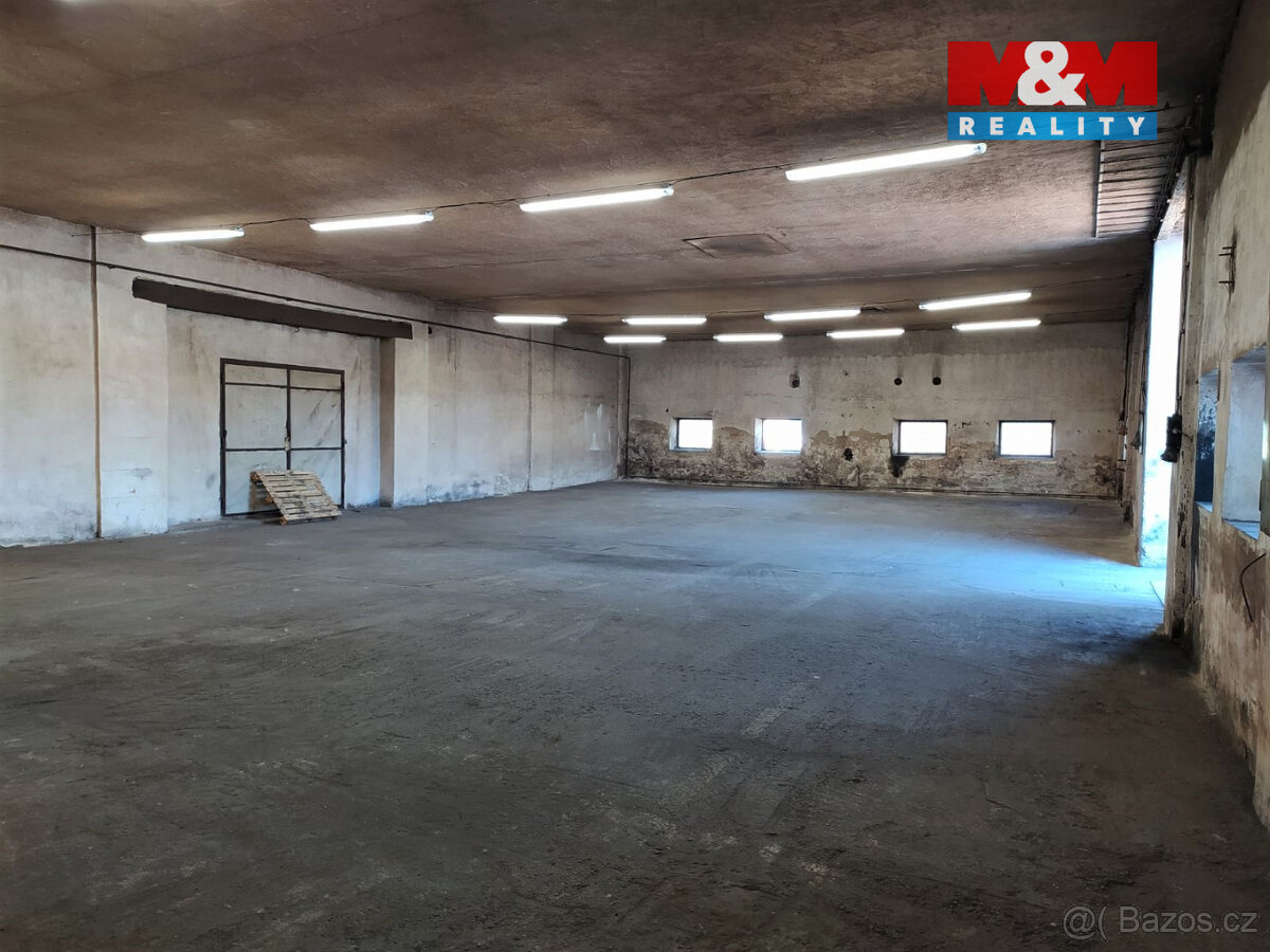 Pronájem výrobního objektu, 310 m², Opava, ul. Přemyslovců - 2