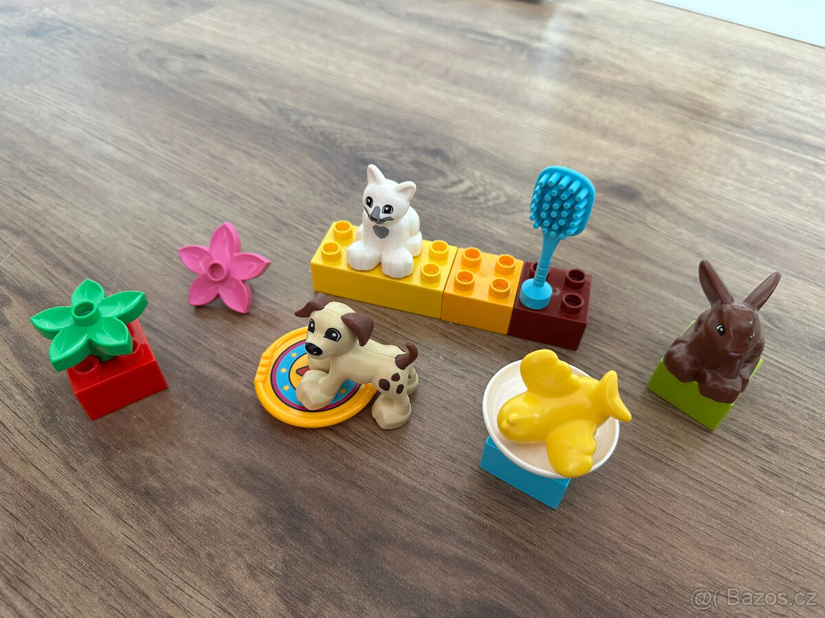 LEGO Duplo 10838 Domácí mazlíčci - 2